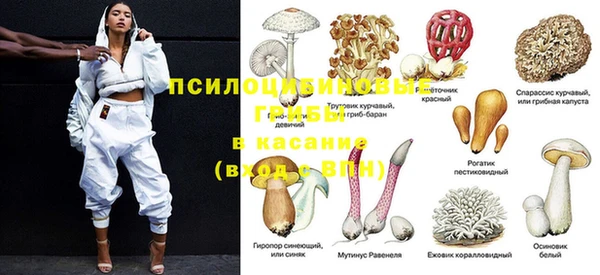 Альфа ПВП Армянск