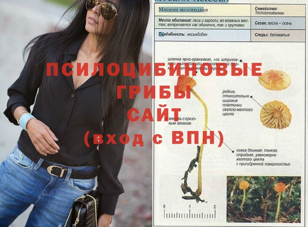 мдпв Балабаново
