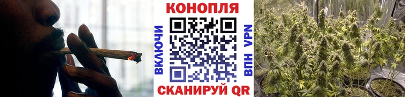 где найти   Славгород  Марихуана THC 21% 
